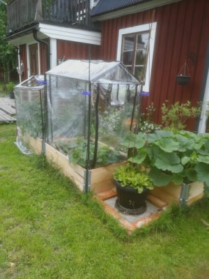 IMG_20190704_163845 - kopia