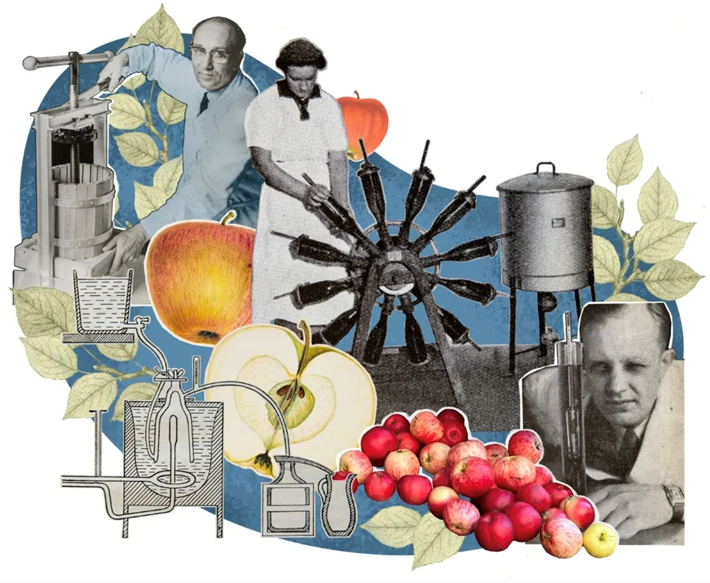 Efter andra världskriget / Illustration Jennie Berström