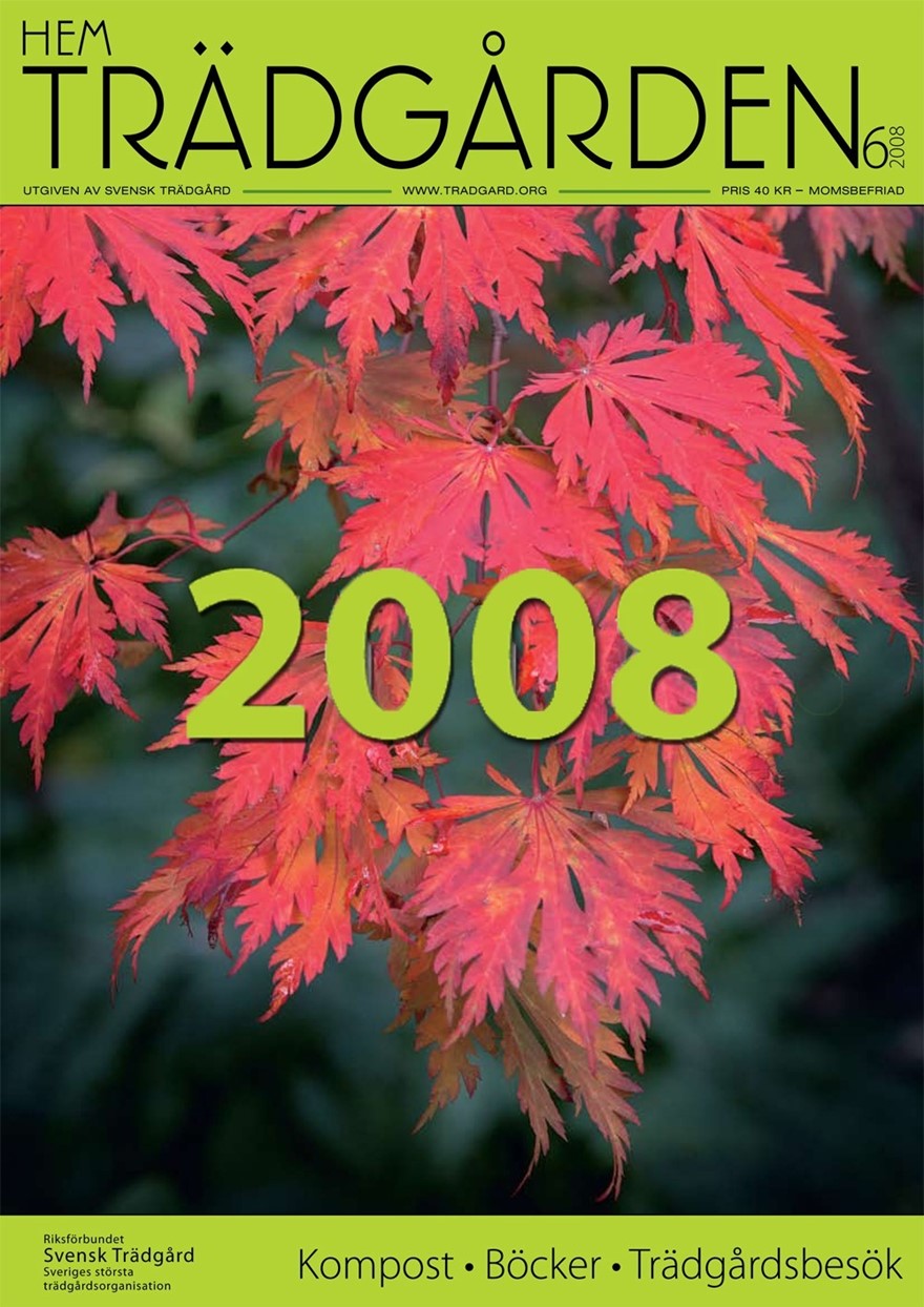 Index2008