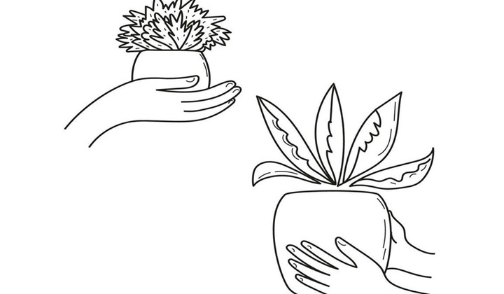 Temakväll: Bytt, bytt.....