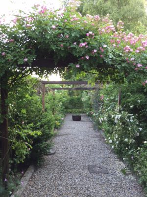 B2D71BA0-2574-488A-B9E9-C4FD4D55E50F