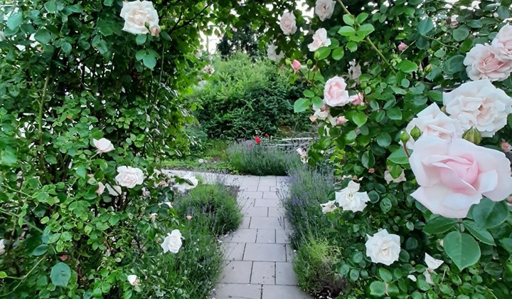 Insikten-Vallda -Bin, örter, blommor