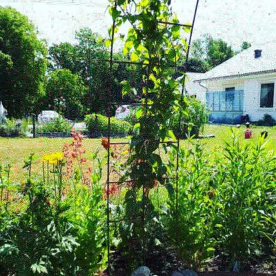 IMG_20180607_112801_208