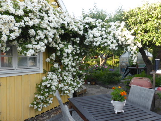 3E479A30-F132-4610-8C0B-56D9FD7CF640