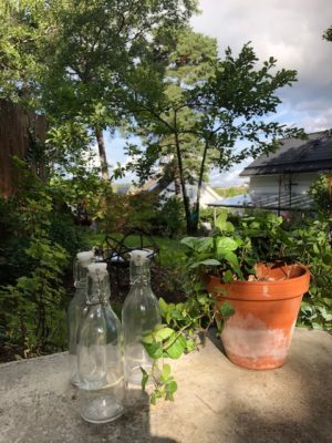 5391E2C5-5DF8-405B-9ED2-C661783B29F8