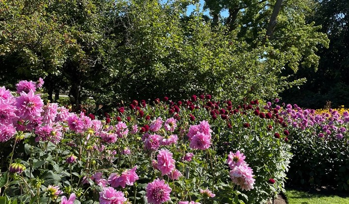 Besök privat trädgård, Floda