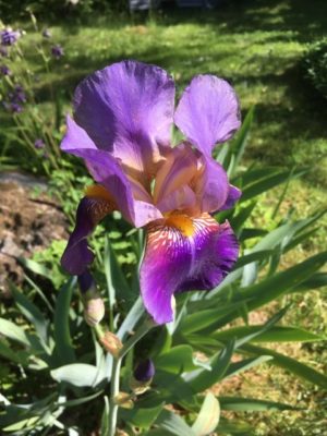 9B2D95E7-2E8A-47E3-B30B-EB25D96A5A9F