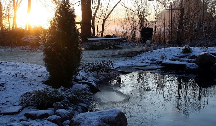 En dag för trädgårdsdrömmar 2026, Vårgårda