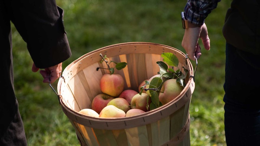 Det började som Pomologiska föreningen, för att fler skulle odla äpplen och ta tillvara på dem.