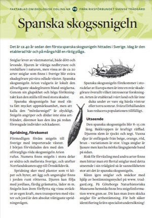 Faktablad 29 - Spanska skogssnigeln