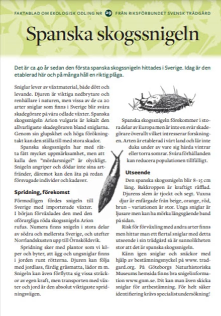 Faktablad 29 - Spanska skogssnigeln