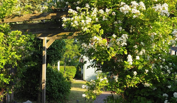 En naturdikt, Jämjö