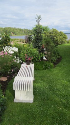 juli 2014 trädgård 035