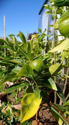 received_689940508526606