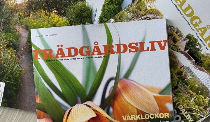 Min resa med Trädgårdsliv