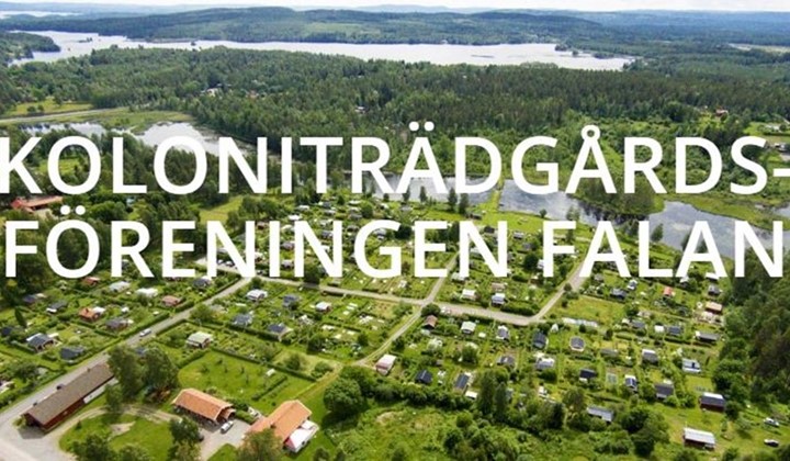 Kårarvets koloniträdgård - en del av Världsarvet Falun - besök i mitten av augusti