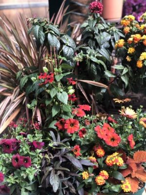 F7D169E5-08D3-429A-A783-86F619D23AD2