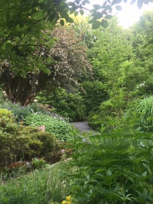 C351597C-133A-407F-8009-37D0F14568B6