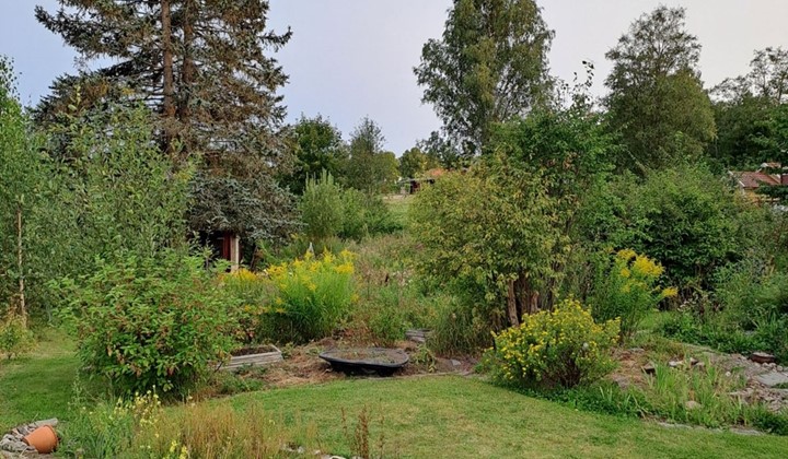 Naturen kommer först., Storvik