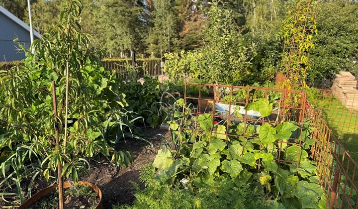 B&J Forever Garden  , Västerås