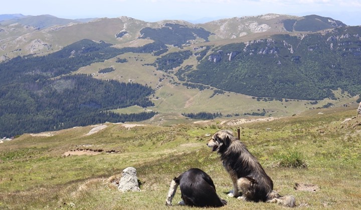 Årsmöte 2026, Åmål