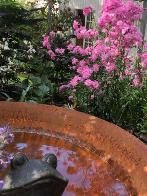 0B55E68A-FC4F-4FC6-AD7F-08AE0A4D3E87