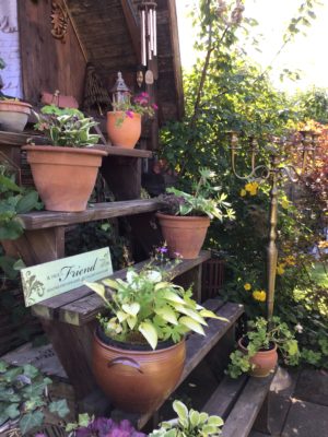 11F6A64C-3DE3-475E-A3C4-DD9413A87628