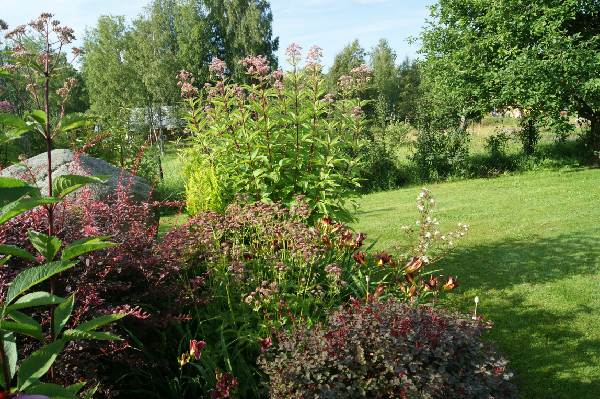 photo_9024