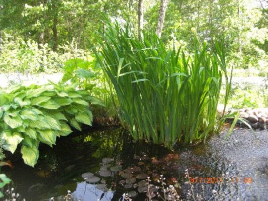 photo_7030