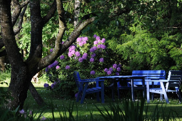 6217947659_34cdcf4e61_z