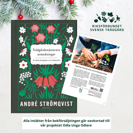 Trädgårdsmästarens anteckningar (bok)