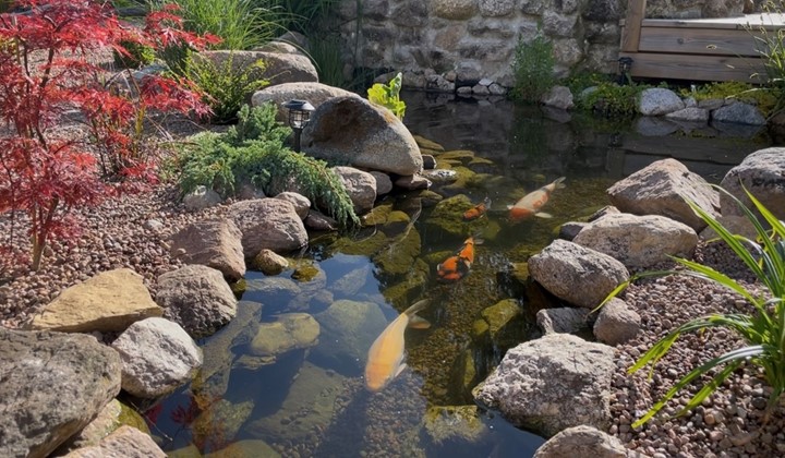 Mörkhultets damm och trädgård, Hok