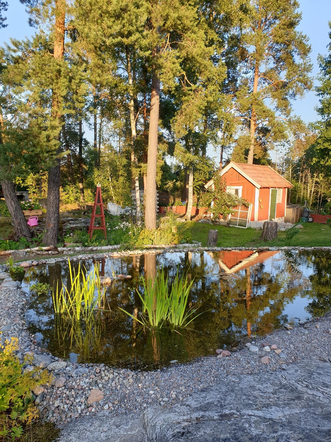 Sansjö Trädgård - Bålsta