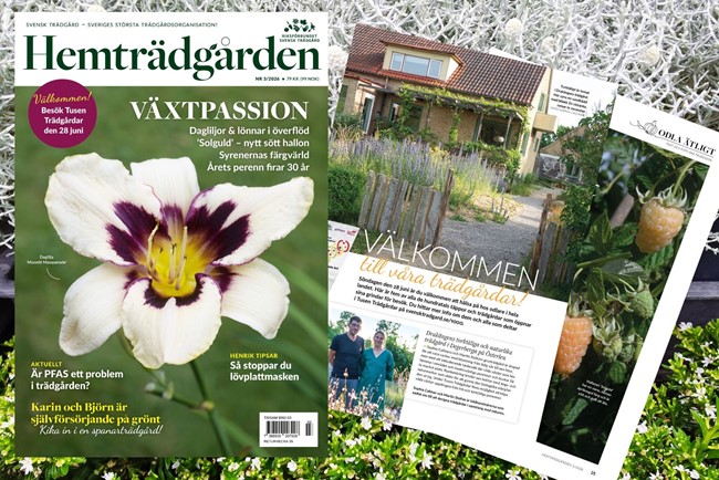 Välkommen Till Sommarmötet (1)