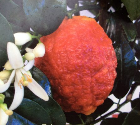 C7E61E13-99FF-4888-9465-AFEF986D1CC2