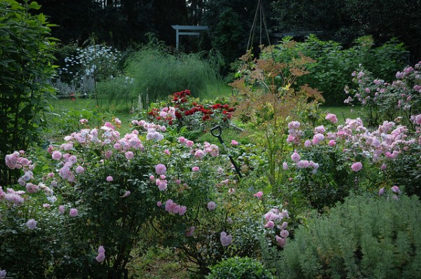 5167479886_9998b58551_z