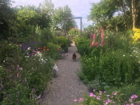 Erkes trädgård gången