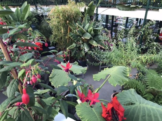 72EA351A-3492-43C9-B54B-7223B0B48BC9