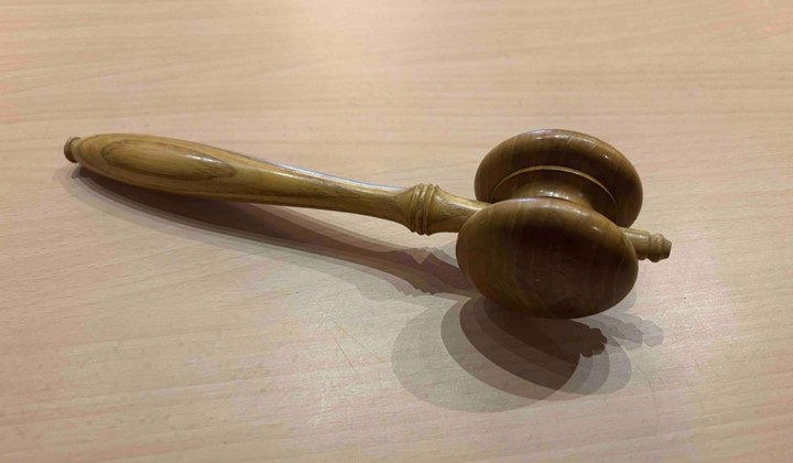 Årsmöte, föredrag om Små trädgårdar Lund