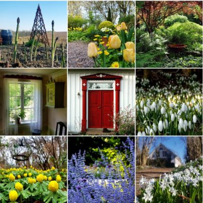 550c7baf-b897-4485-84da-6e14f23d7894