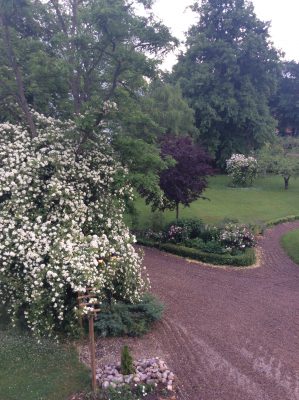 97E1681F-5777-44F9-A0B5-FF92B12DF980