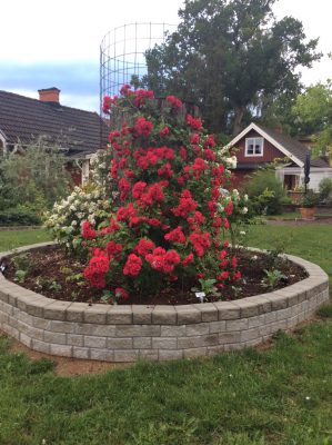 7278BA49-A442-49E1-AA72-33A718E1C4E8