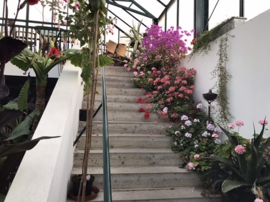 48F660B8-CEB5-4AF3-8264-FC3FA7BEDE66