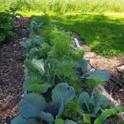 IMG_20190624_214850_515