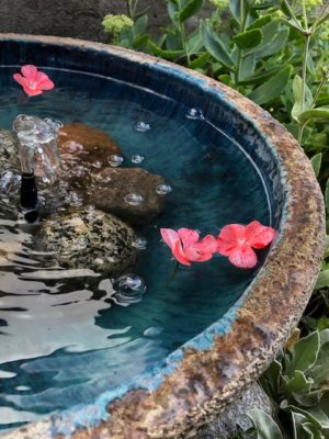 F5AD4626-B07B-4271-99F8-AA1B0A893F48