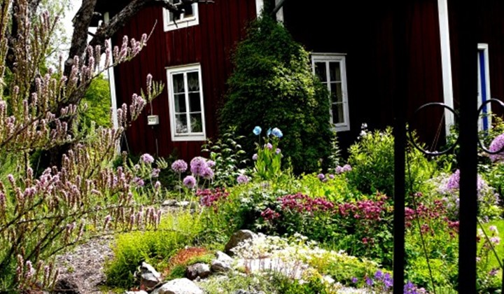 Hannelottes trädgård, Enviken