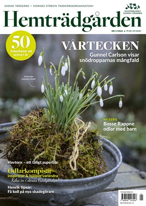 Hemträdgården 1/2026
