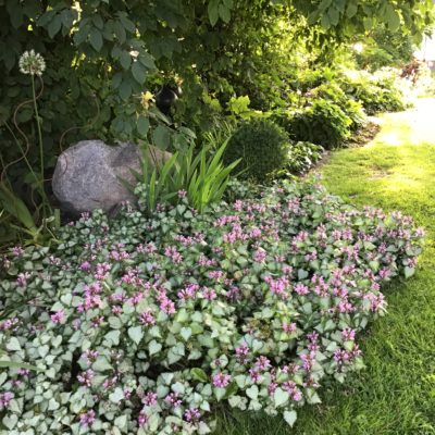 12438AE4-5263-43C4-AFC7-99D7BBC11009