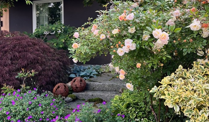 Känn trädgården i Göteborg, Askim