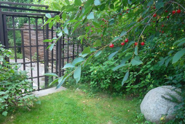 Öppen Trädgård  Ingång till japanska trädgården (1)